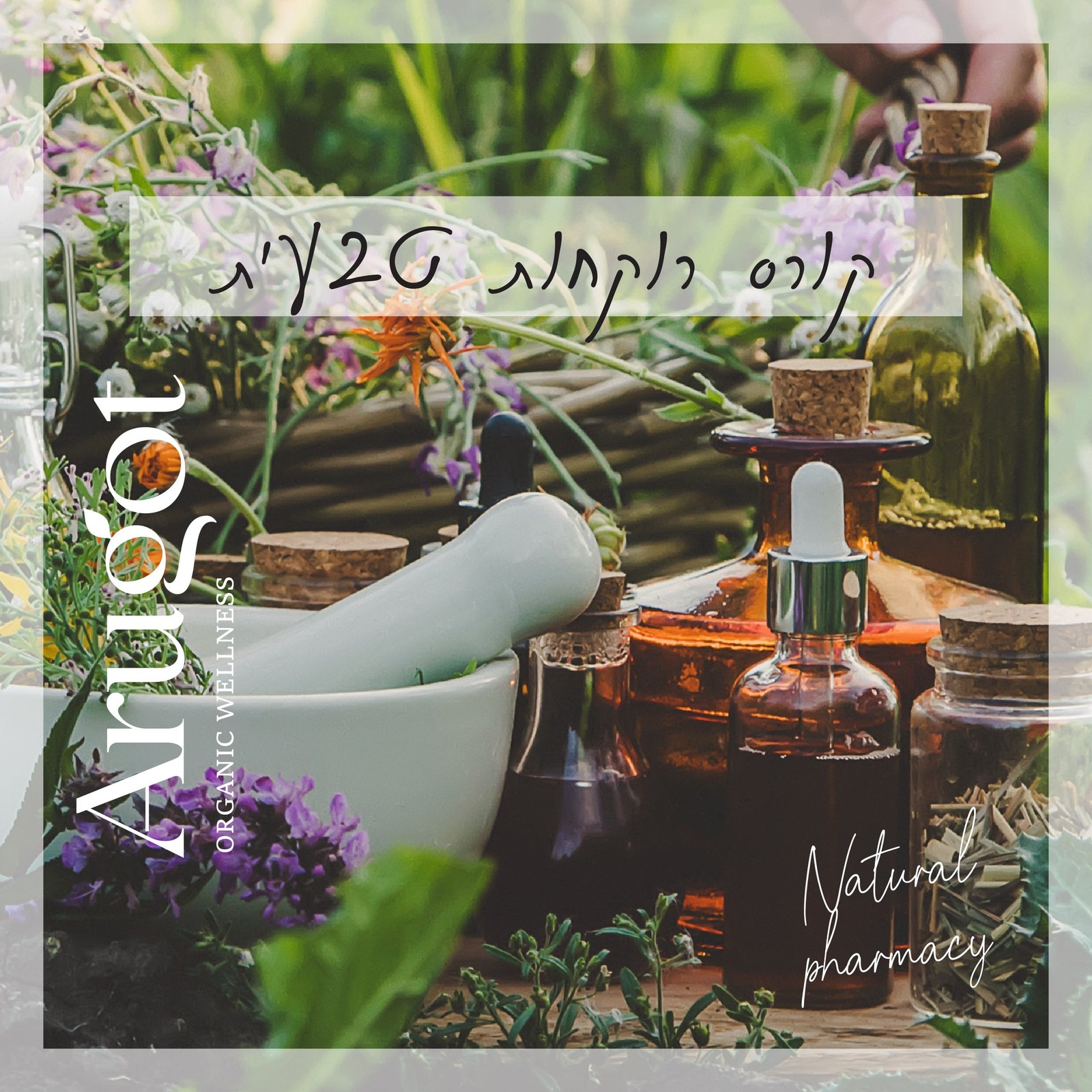 Natural Pharmacy Course